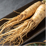 율려조양단 인삼