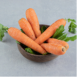 율려조양단 당근